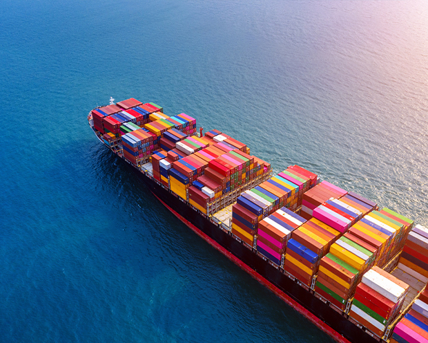2024 Medical Needle Export Data Shows Steady Growth